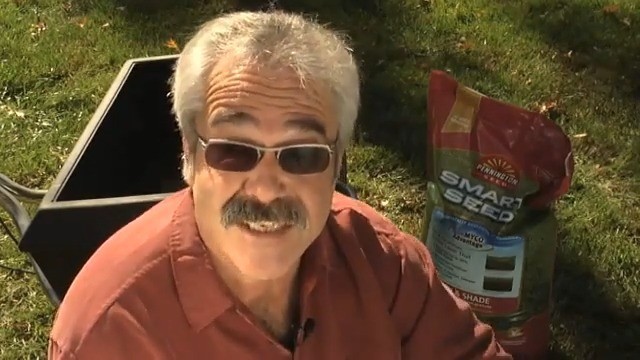 Premium Northern Grass Seed Mix – 40 lb Contractors Blend for Lush Lawn Growth