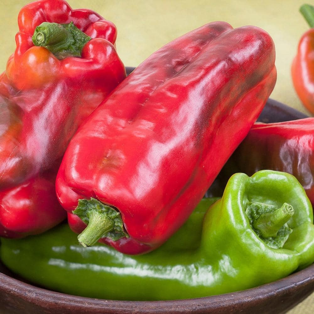 19.3 oz. Giant Marconi Pepper Plant, (2-Pack)