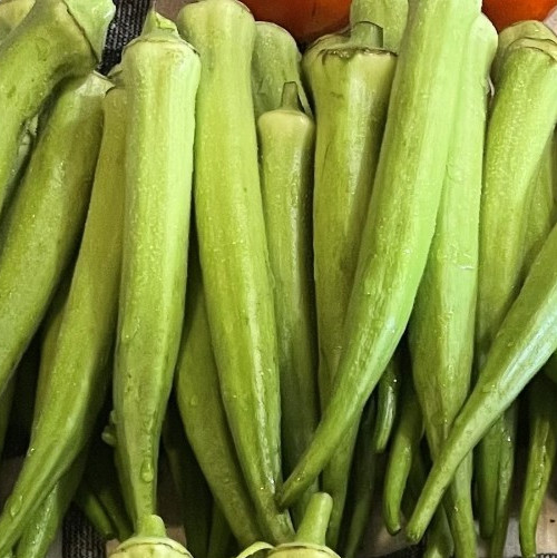 Okra Seeds, 30 Spineless Okra Seeds, Smooth Okra Seeds Better Harvest