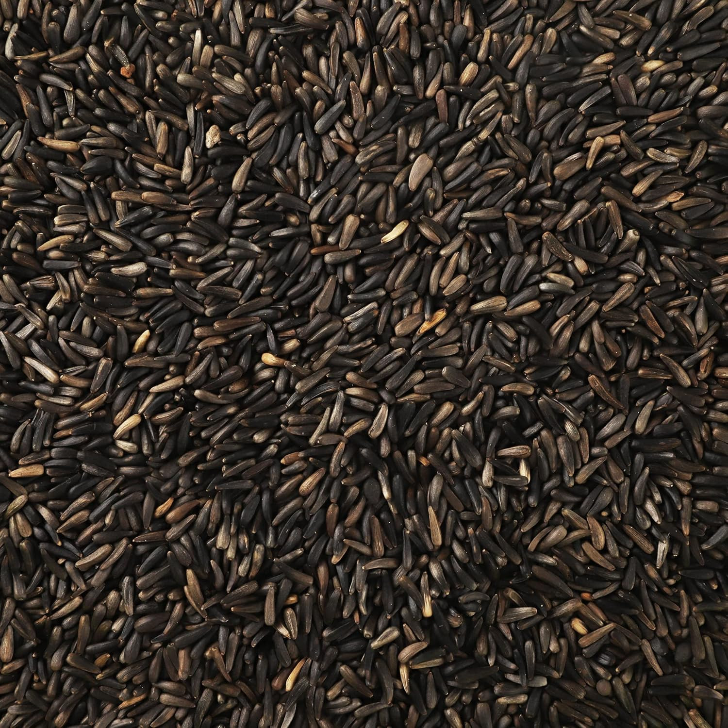 Nyjer/Thistle Seeds Wild Bird Food – 10 Pounds I No Grow Seed I Bird Seed for Wi