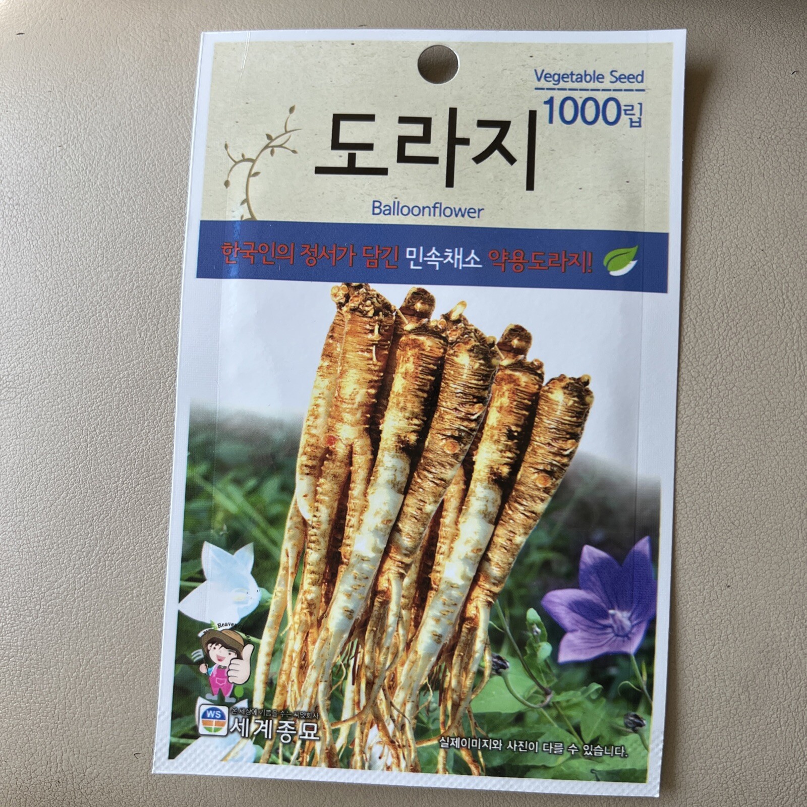 Korean Balloonflower / Bellflower Root Seed (1000 Seeds)