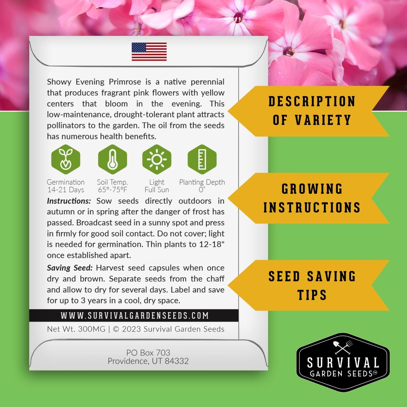 36 Flower Seed Packs – Annual & Perennial Garden Kit for Pollinators & Butterfli