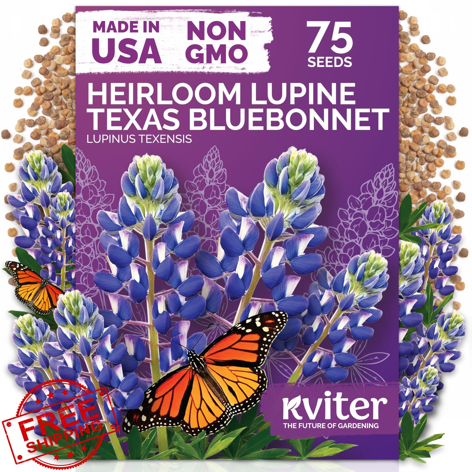 KVITER Texas Bluebonnet Lupine Seeds