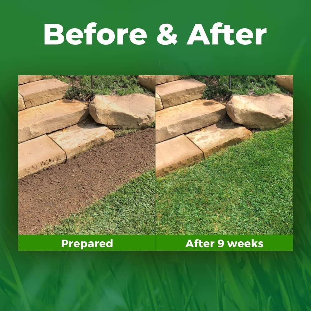 Roll Year-Round Green Grass Seed Mixture Mat Roll For Lawn 50 FT Quick PROVEN