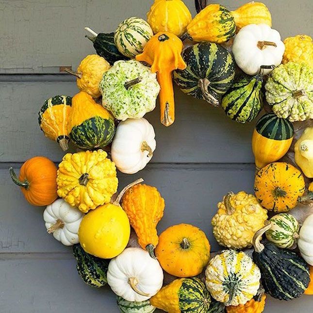 Bicolor Pear Ornamental Gourd Seeds – For 2025 Planting Yellow Green White