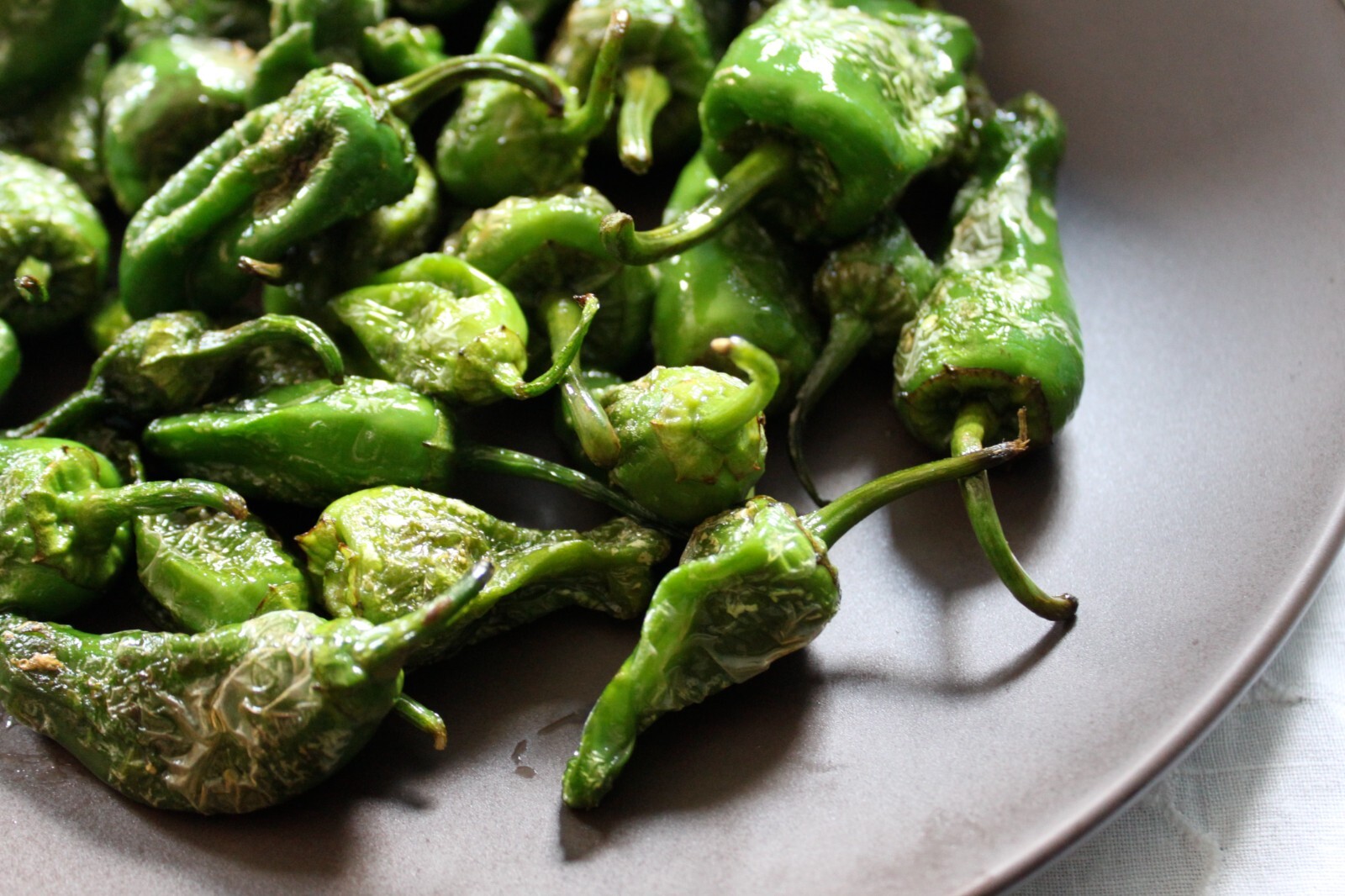 RARE✿ Spanish Heirloom Pimiento de Padron Hot Pepper 15 Seeds ●Vigorous Producer