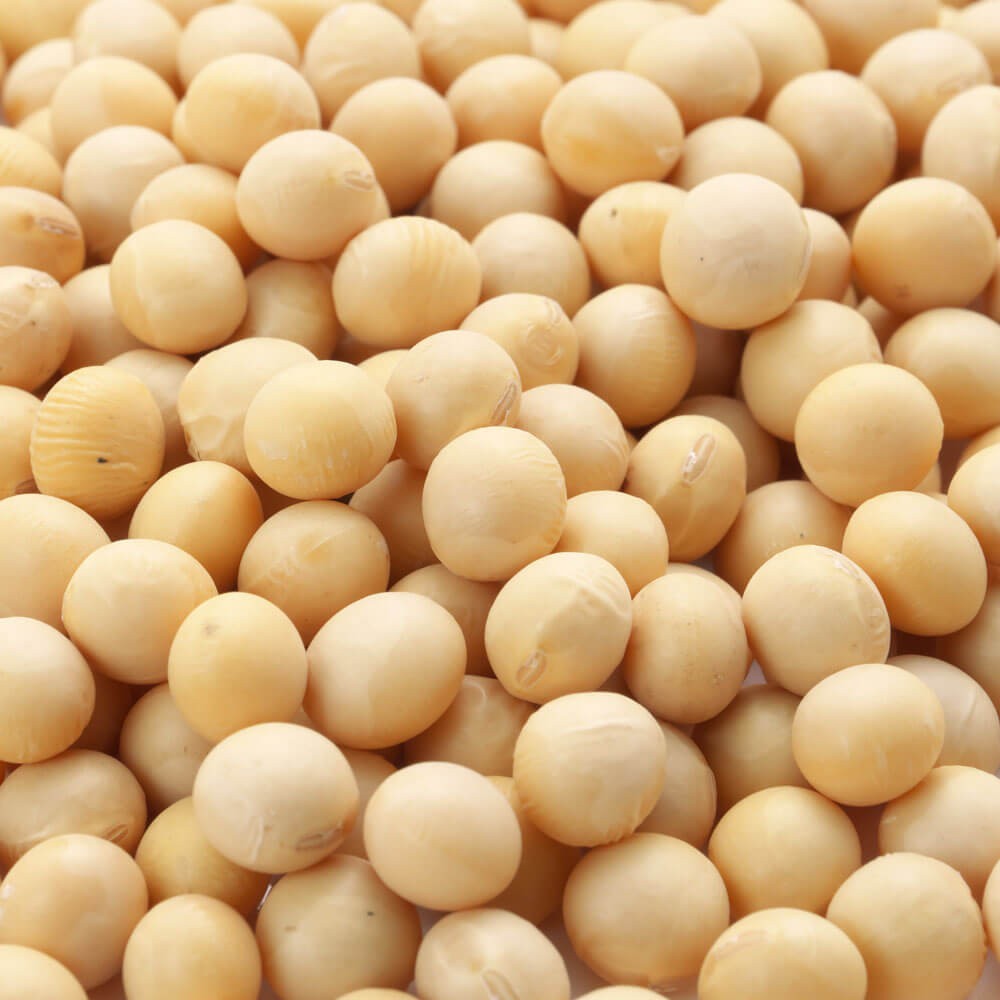 5 LBS KS 5120N Soybean Seeds For Forage