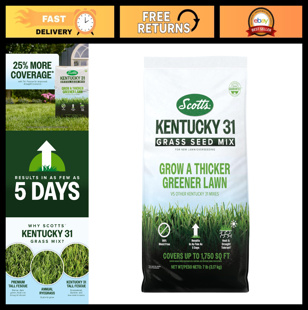 Kentucky 31 Grass Seed Mix for New Lawns & Overseeding, Thick & Green Growth, Co
