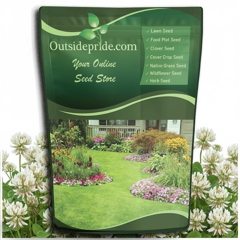 5 lbs Perennial White Clover Seed – Nitrocoated, Inoculated, Ideal for Pasture &