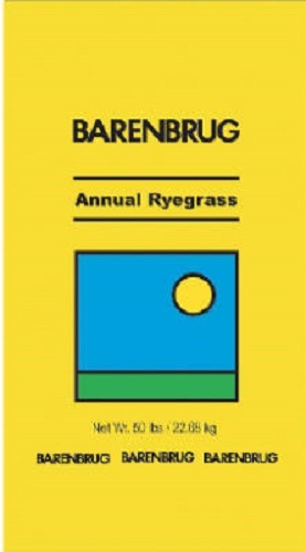 Barenbrug 491087 50 lb Bulk Annual Rye Ryegrass Grass Seed – 2 bags (100 lbs )
