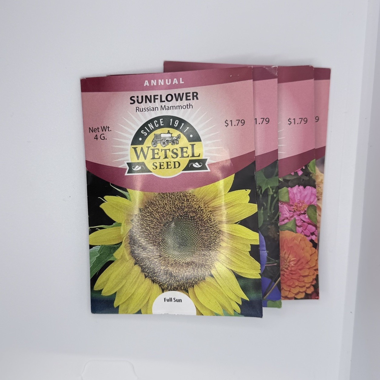 Flower Seed packet (varieties) Annual by Wetsel seed