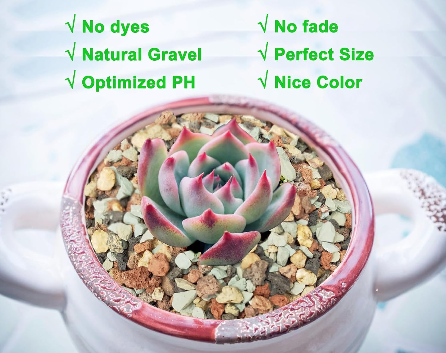 5Lb Bonsai Succulent and Cactus Soil Gritty Mix Rocks Gravel for Terrar