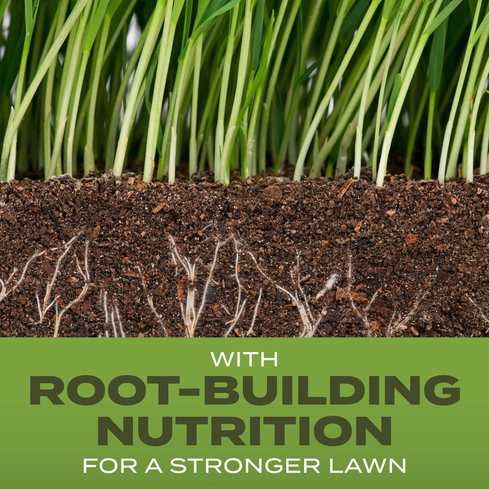 SCOTTS GRASS SEED Turf Builder Tall Fescue Mix