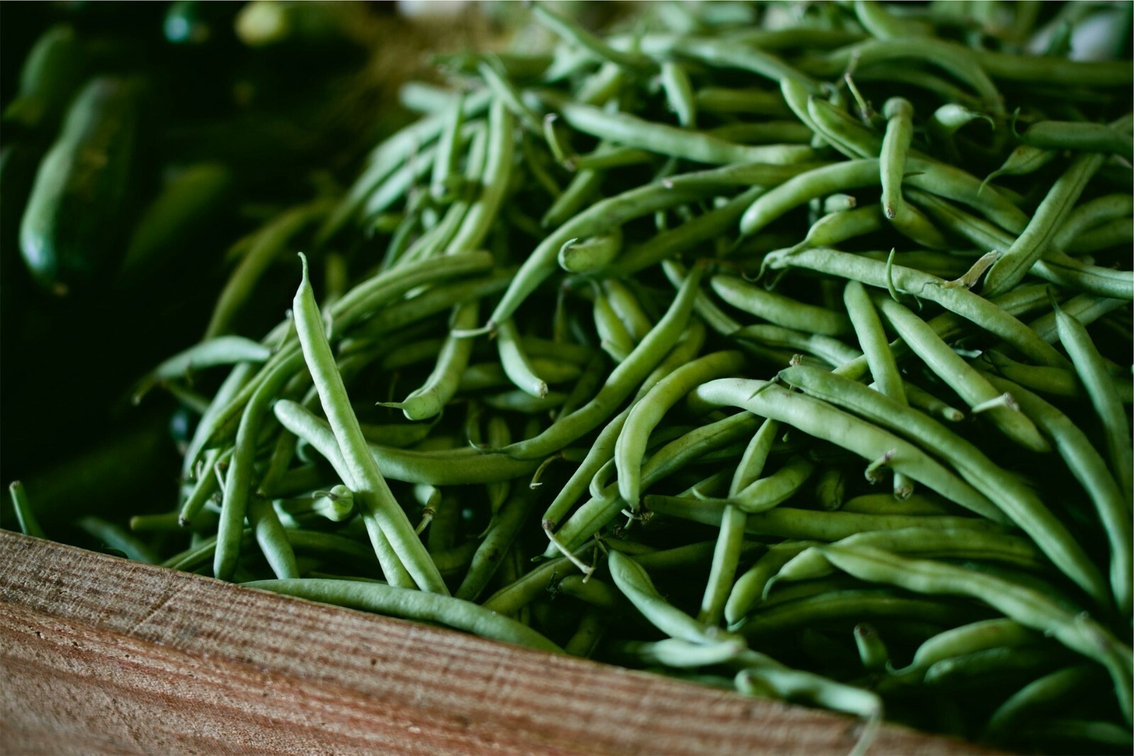 Kentucky Wonder 125, Bush Green Bean Seeds, NON-GMO, FREE SHIPPING