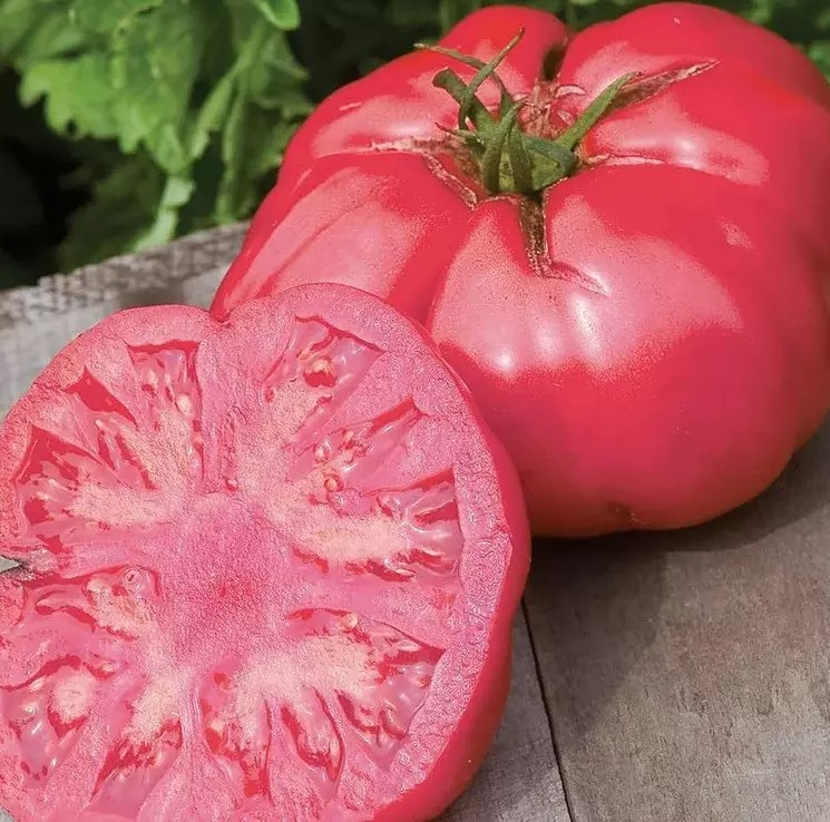 120+ Giant Beefsteak Tomato Seeds – HUGE – Heirloom – Organic – NON GMO — FRESH