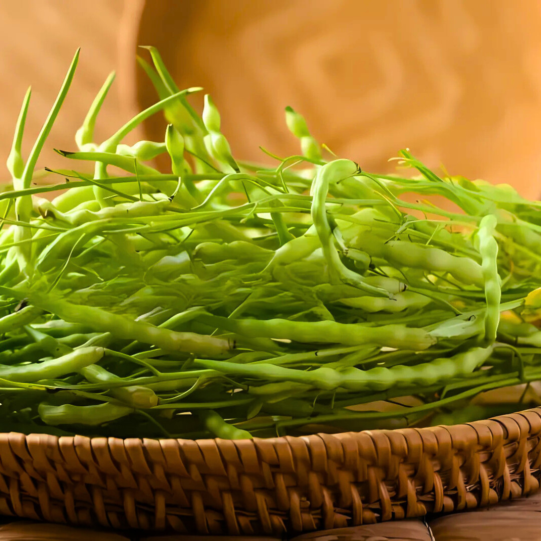 Fresh Rat Tail Radish Seeds | Radish | Heirloom Non-GMO | Asian Vegetables