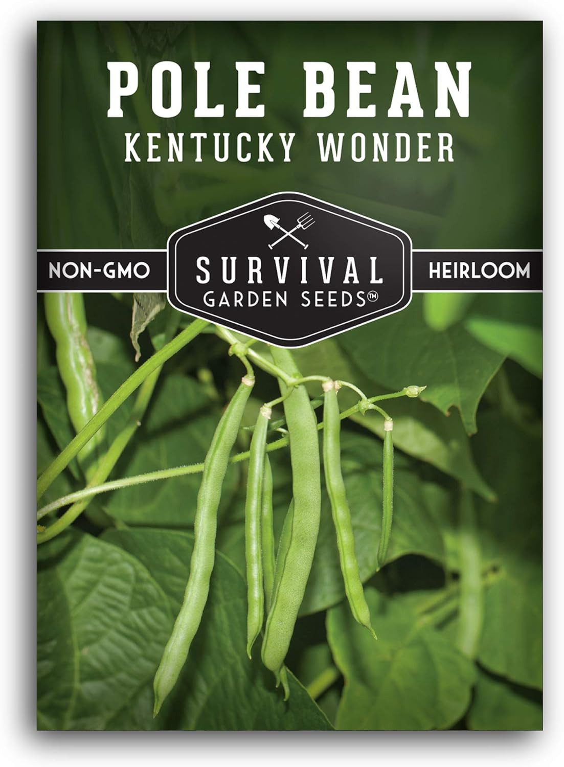 Kentucky Wonder Pole Bean Seeds for Planting – Heirloom Climbing Green Beans