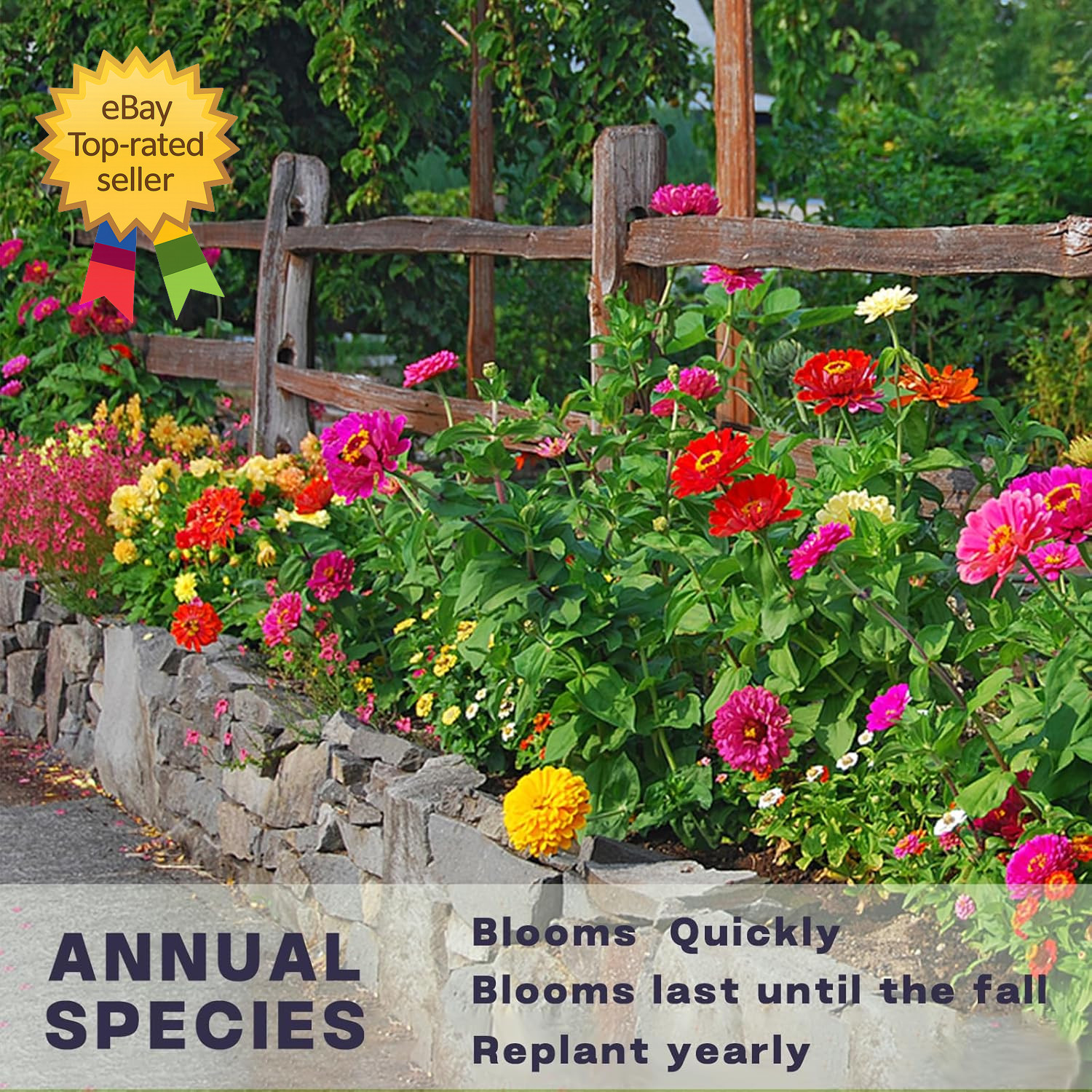 Zinnia Seeds Bulk 5,000+ Outdoor Flower for Planting Giant Zinnia Seeds for 20