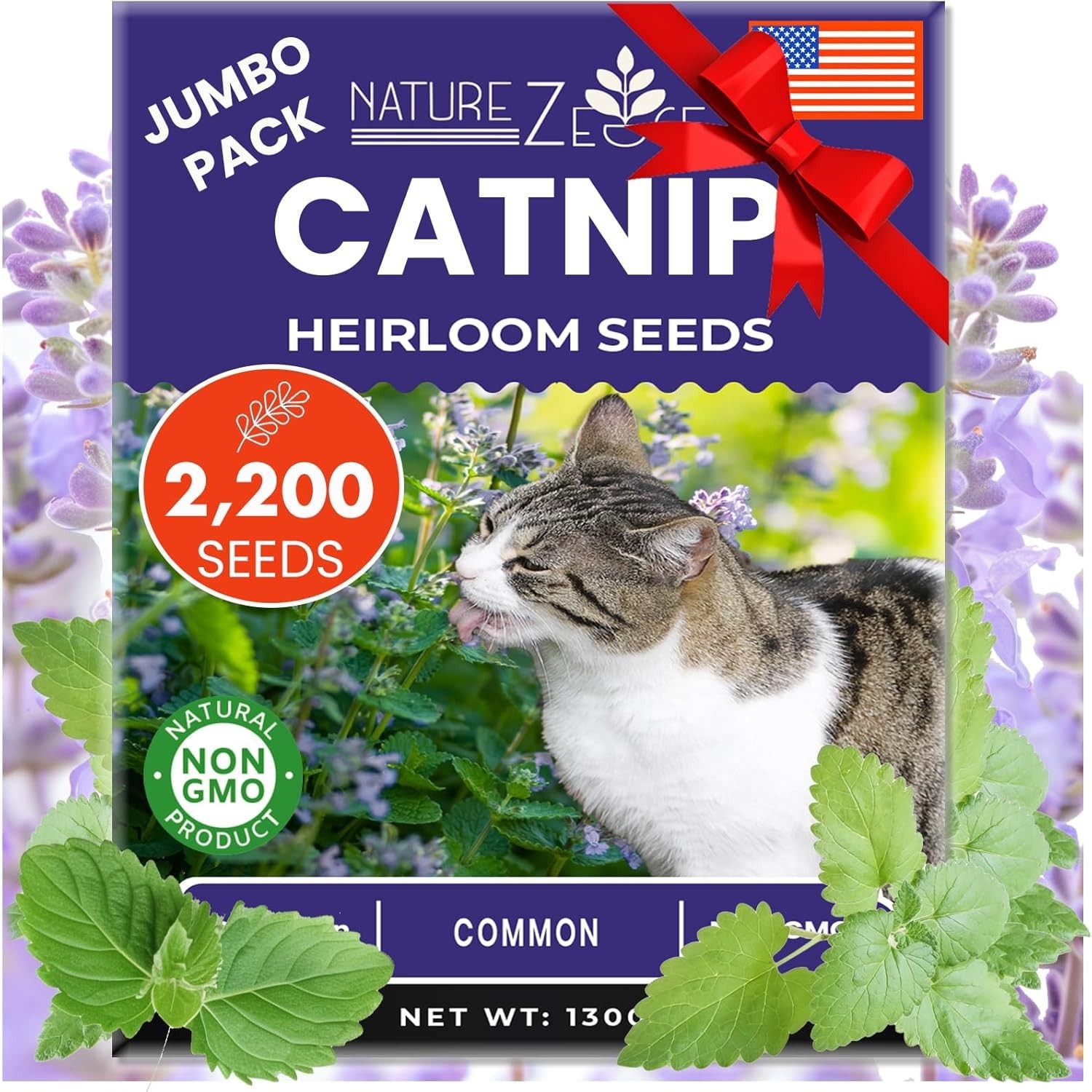 Freshly Harvested Catnip Seeds – Over 2200 Seeds for a Fluffy Garden Sanctuary