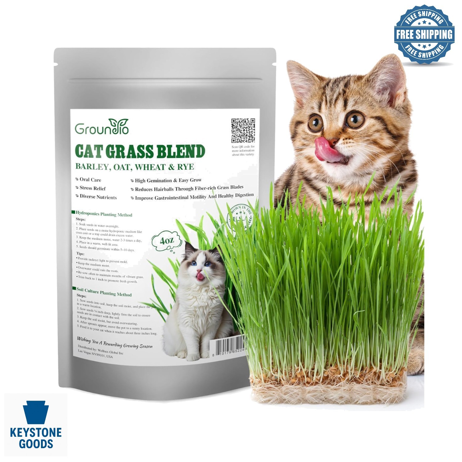 Cat Grass Seed Mix – Non-GMO, Fast Germinate, 4 Varieties, 4 oz