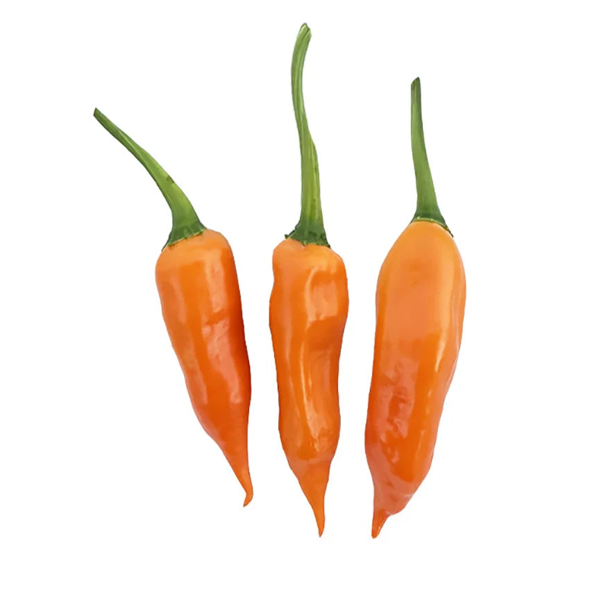 Rare Chili Seeds (Aji Charapita, Pineapple, Mango, Cucamelon)