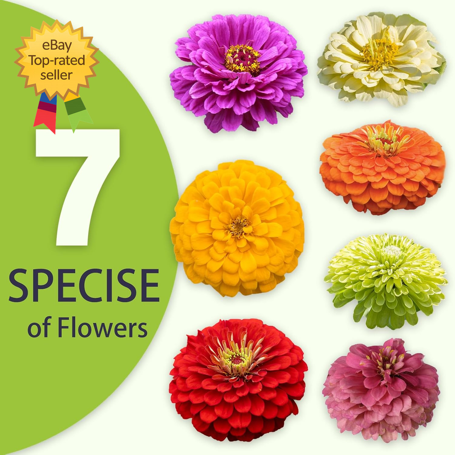Zinnia Seeds Bulk 5,000+ Outdoor Flower for Planting Giant Zinnia Seeds for 20