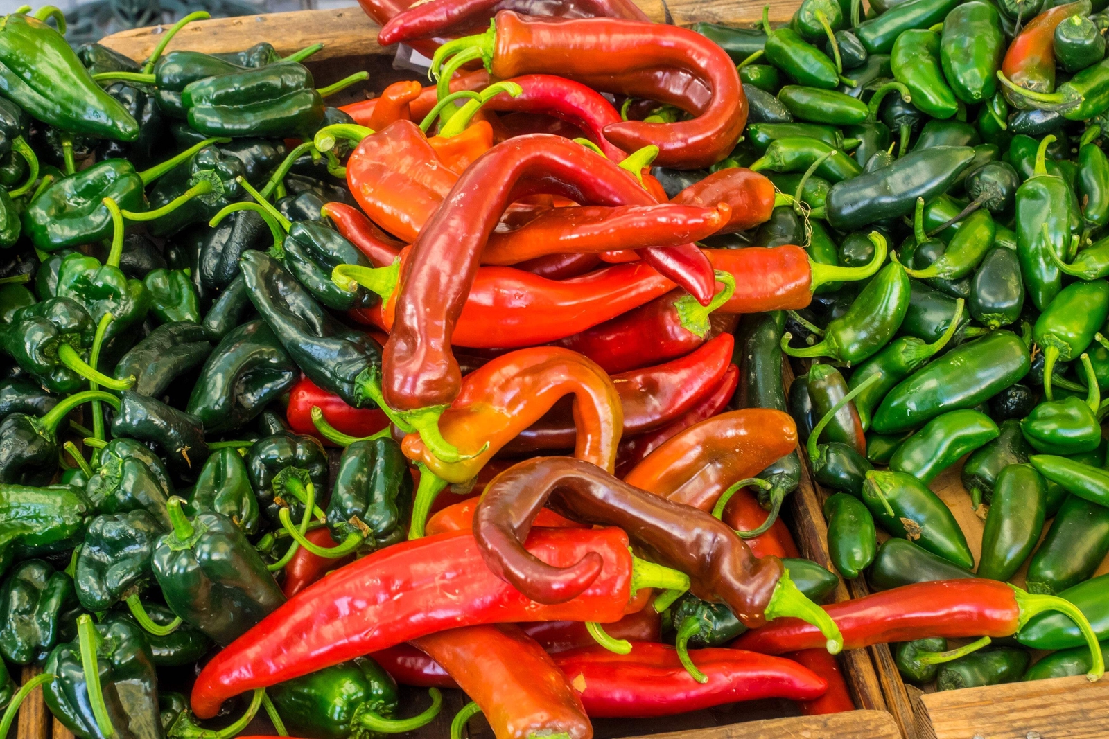300 ANAHEIM CHILI PEPPER (New Mexico Chili Pepper) Capsicum Annuum Vegetable See
