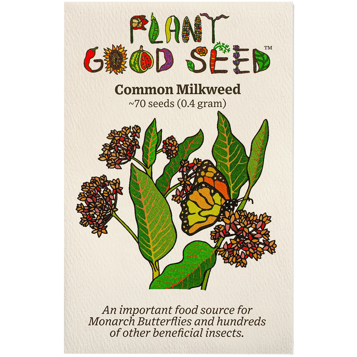 Common Milkweed Seeds