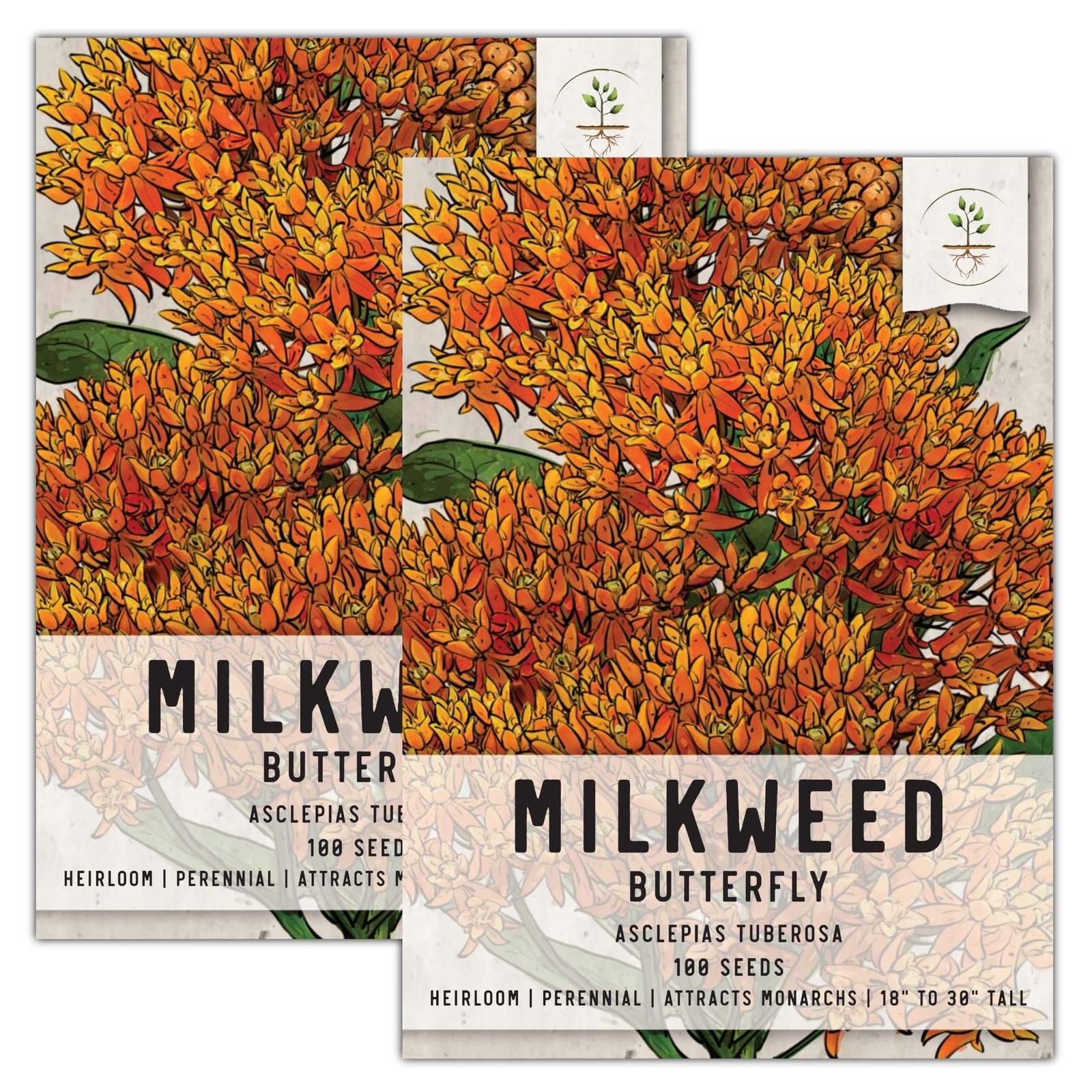 Seed Needs, Butterfly Milkweed Seeds for Planting (Asclepias tuberosa) Twin P…