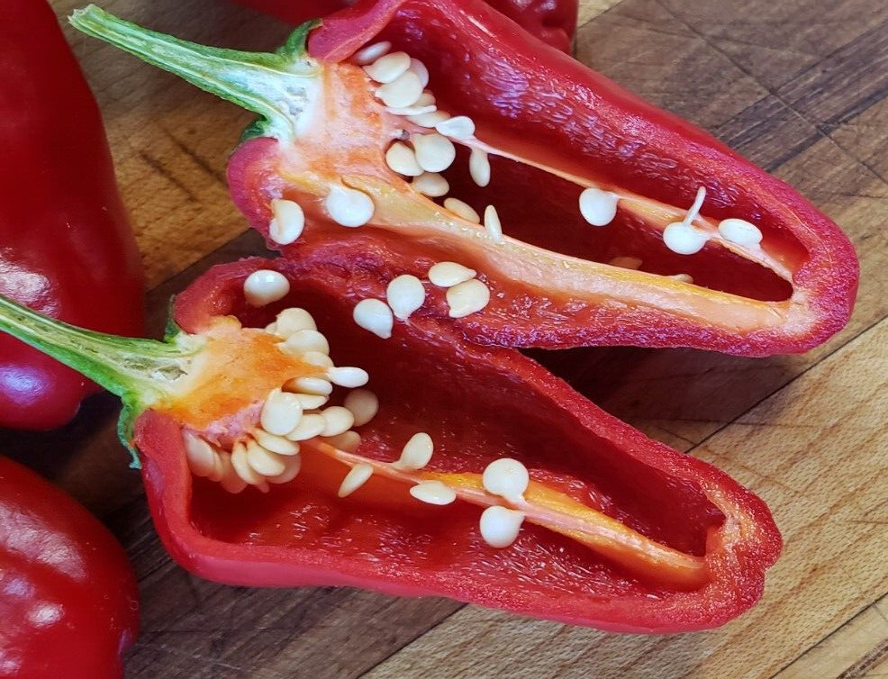 Leutschauer Paprika Pepper (25 Seeds) Free Shipping, great for paprika!