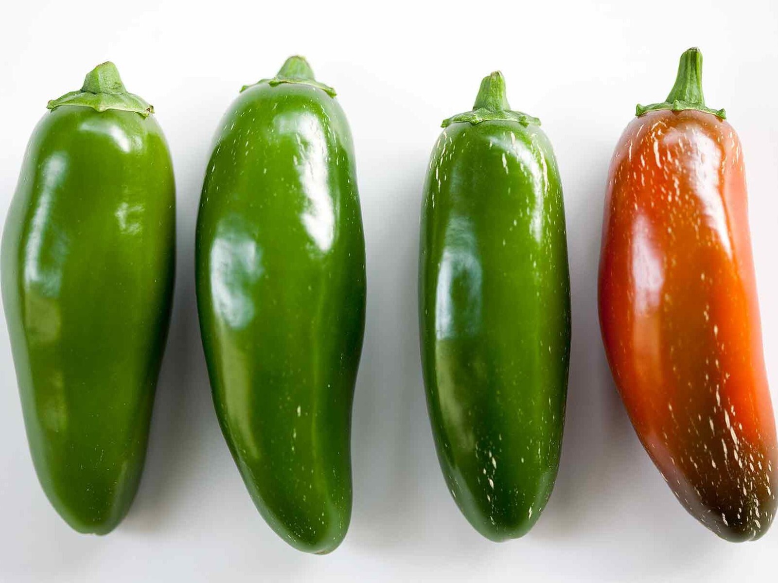 20 Fresh Classic Early Jalapeño Premium Pepper Seeds-A 23