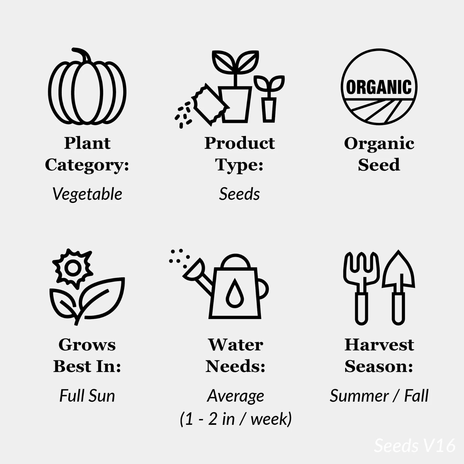 Ferry Morse Organic Carrot Rainbow Mix Vegetable Plant Seeds Full Sun Seed Pack