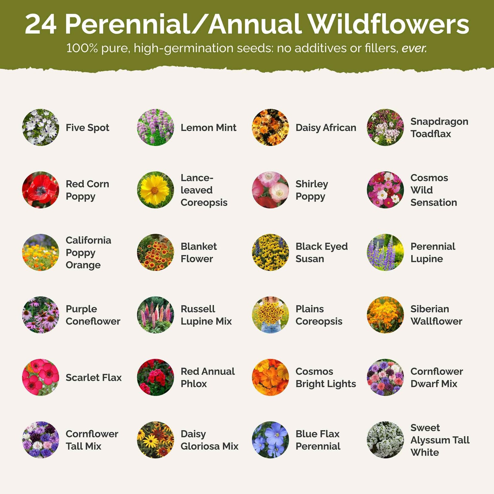 Eden Brothers North Carolina Wildflower Mixed Seeds for 1/4 Pound,