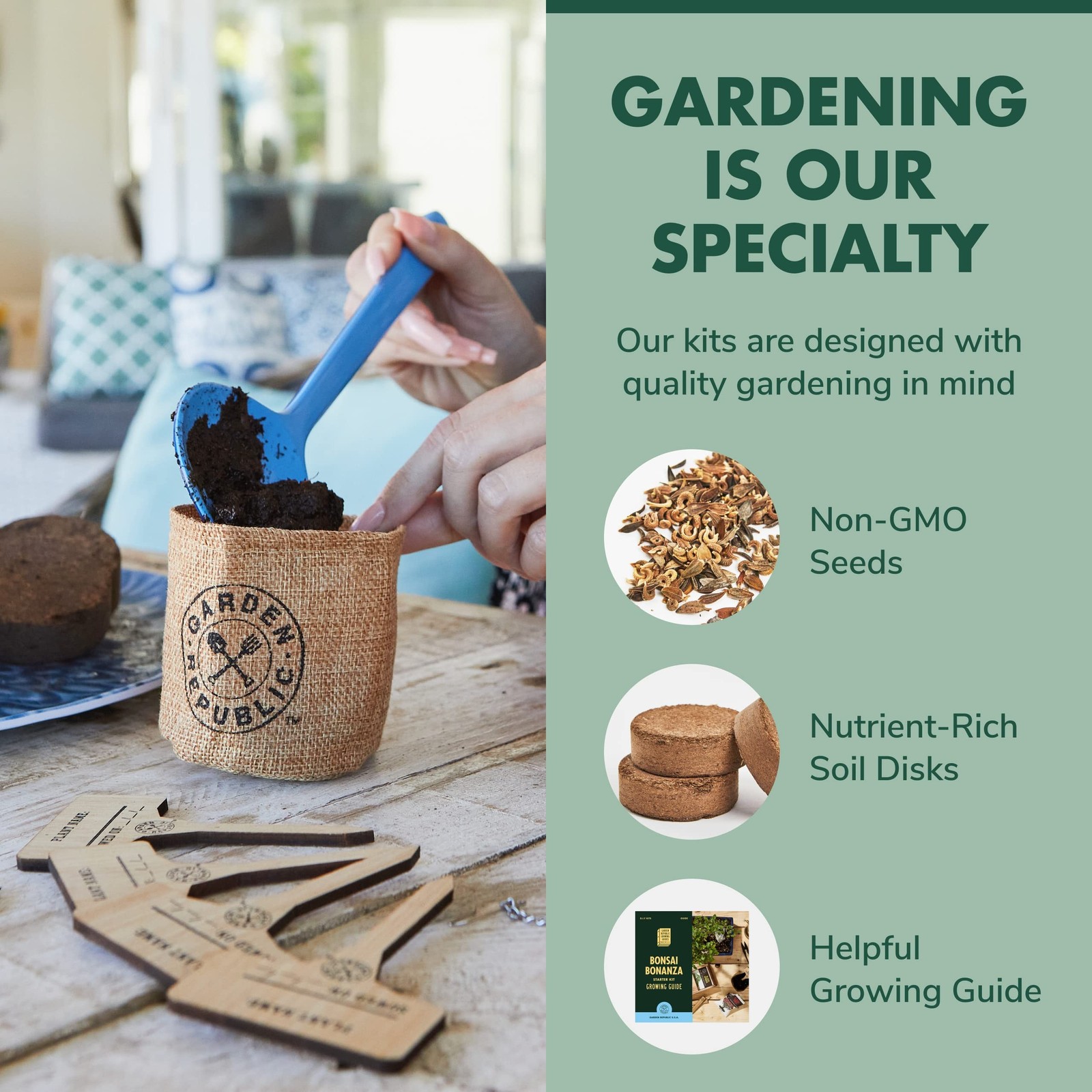 Bonsai Tree Seed Starter Kit – Mini Bonsai Plant Growing Kit, 4 Types of Seed…