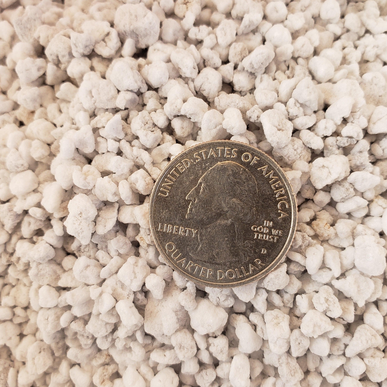 Perlite 4 Quarts porosity soil amendment for cactus and succulents cactus Cacti