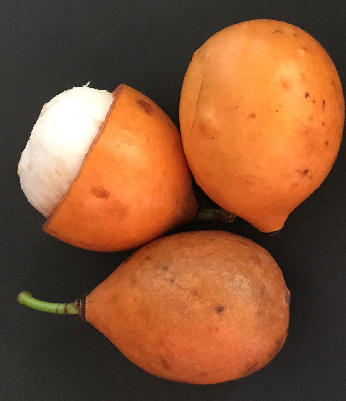 Achachairu Garcinia Humilis Orange Bolivian Mangosteen Tropical Fruit Tree Plant