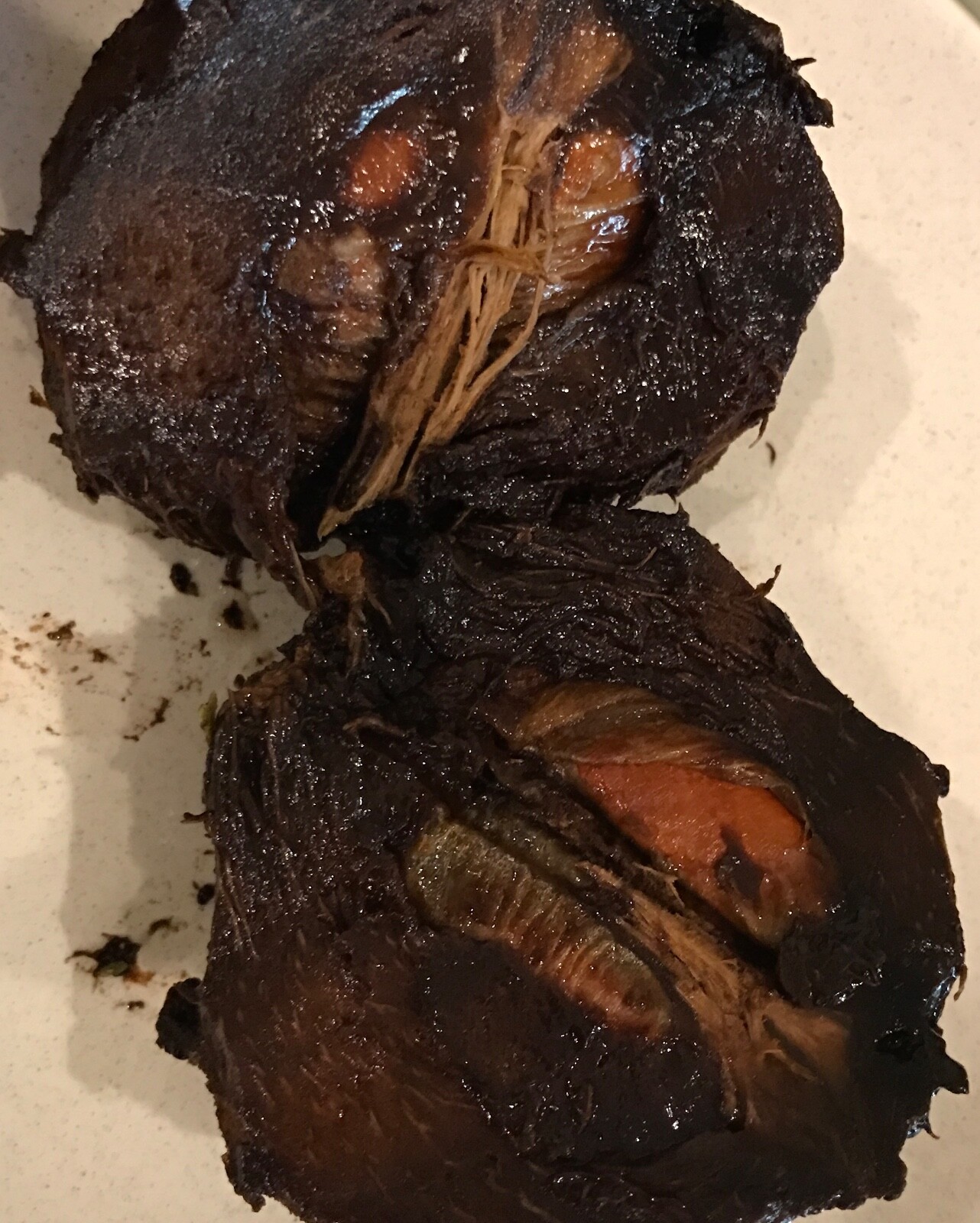 Black Sapote Diospyros Nigra Chocolate Pudding Starter Plant Tropical Fruit Tree