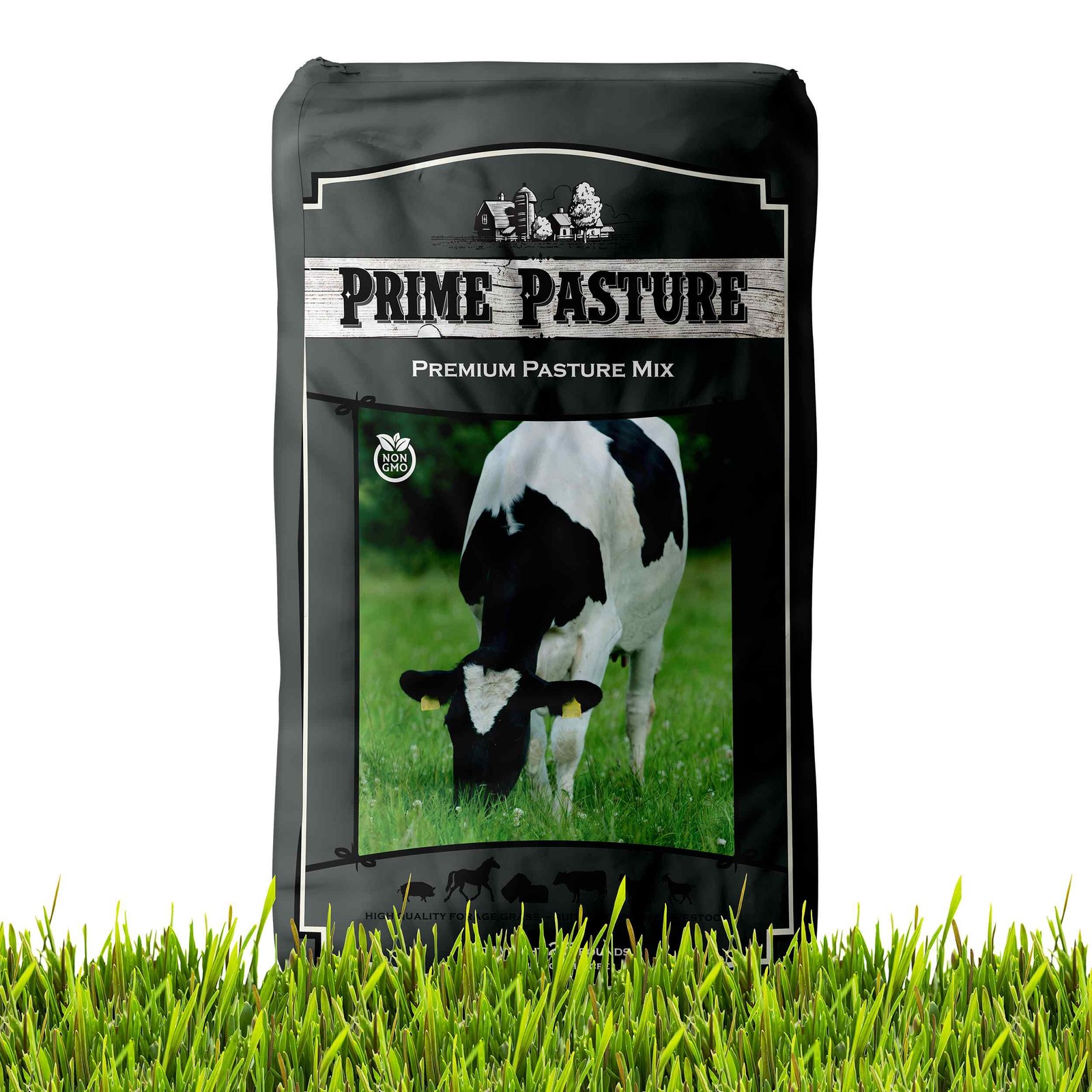 50 LBS Annual Ryegrass Seed – Cover Crop