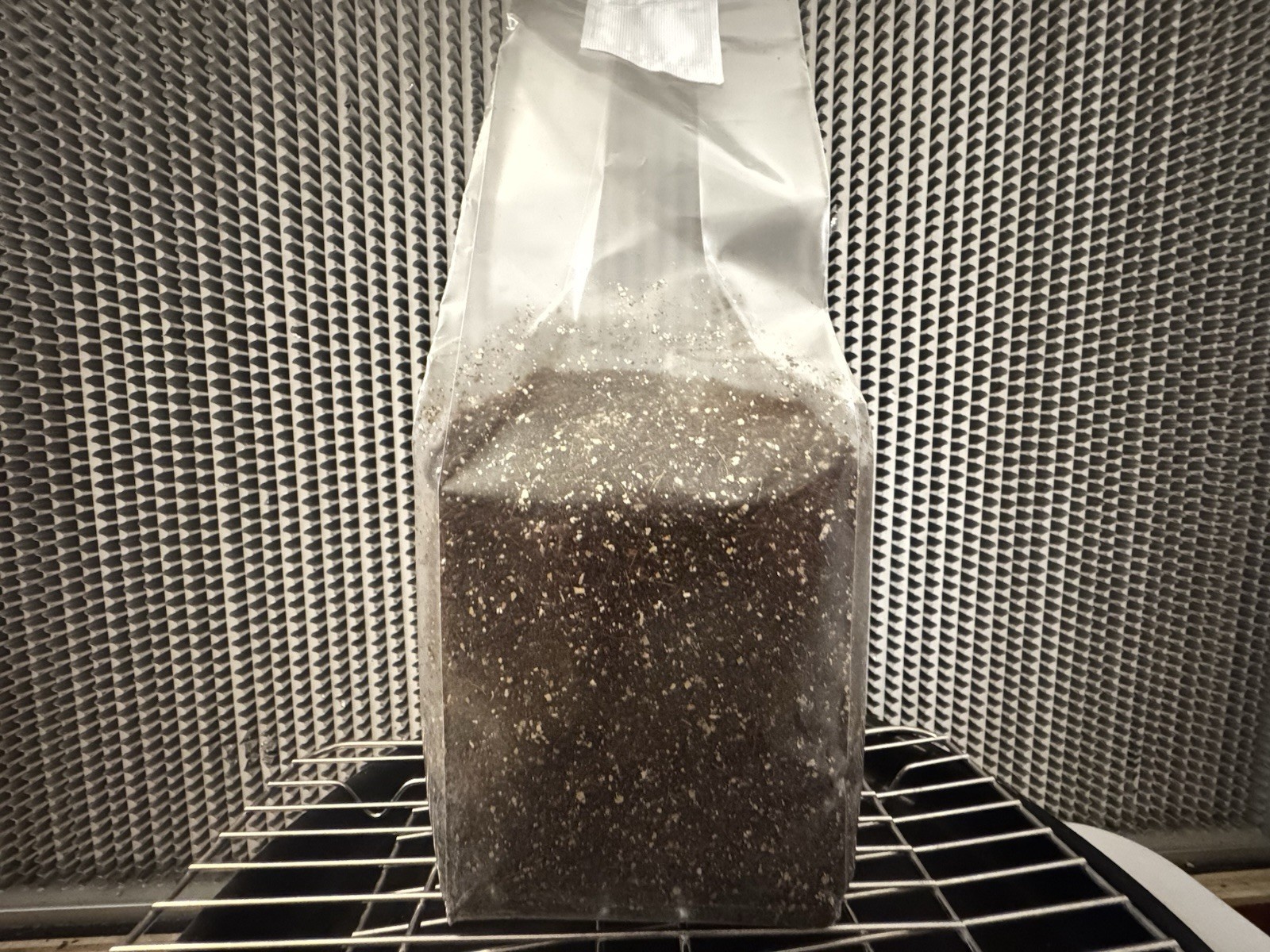 Premium Sterile Bulk Mushroom Substrate For Dung-Loving Species CVG BLEND 2lbs.