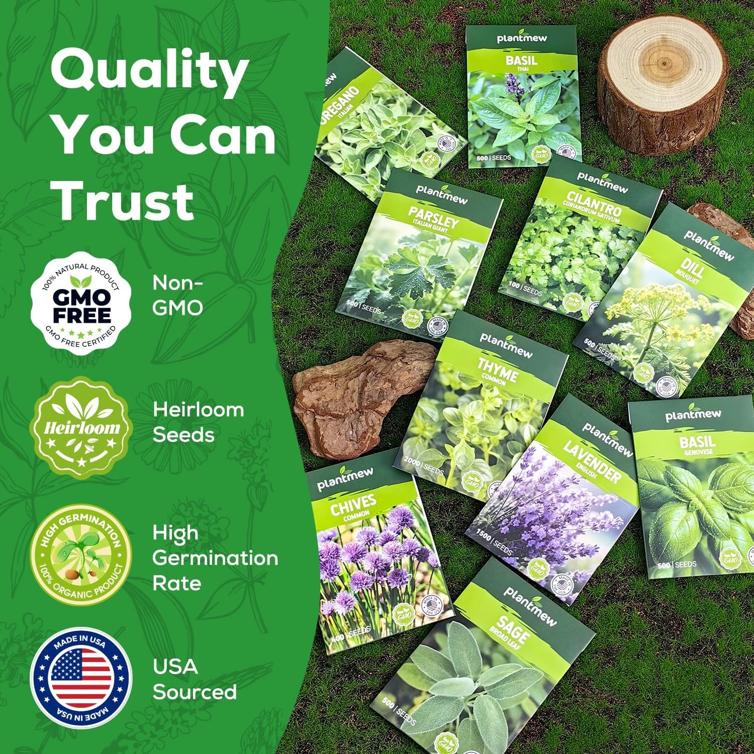 Assorted Non-GMO Herb Seed Pack – 10 Heirloom Varieties for Gardening