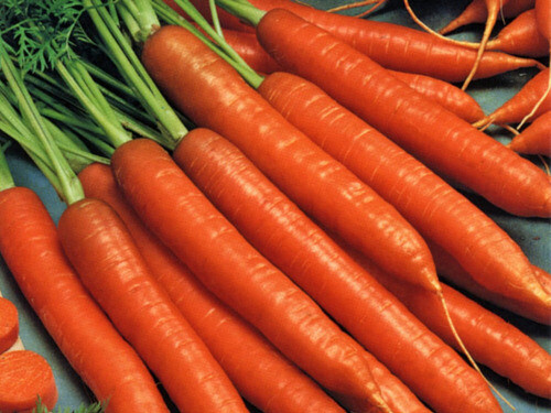 Essential Survival Kit Perfect Vegetable Garden Save Seeds 5 Varieties FREE SHIP
