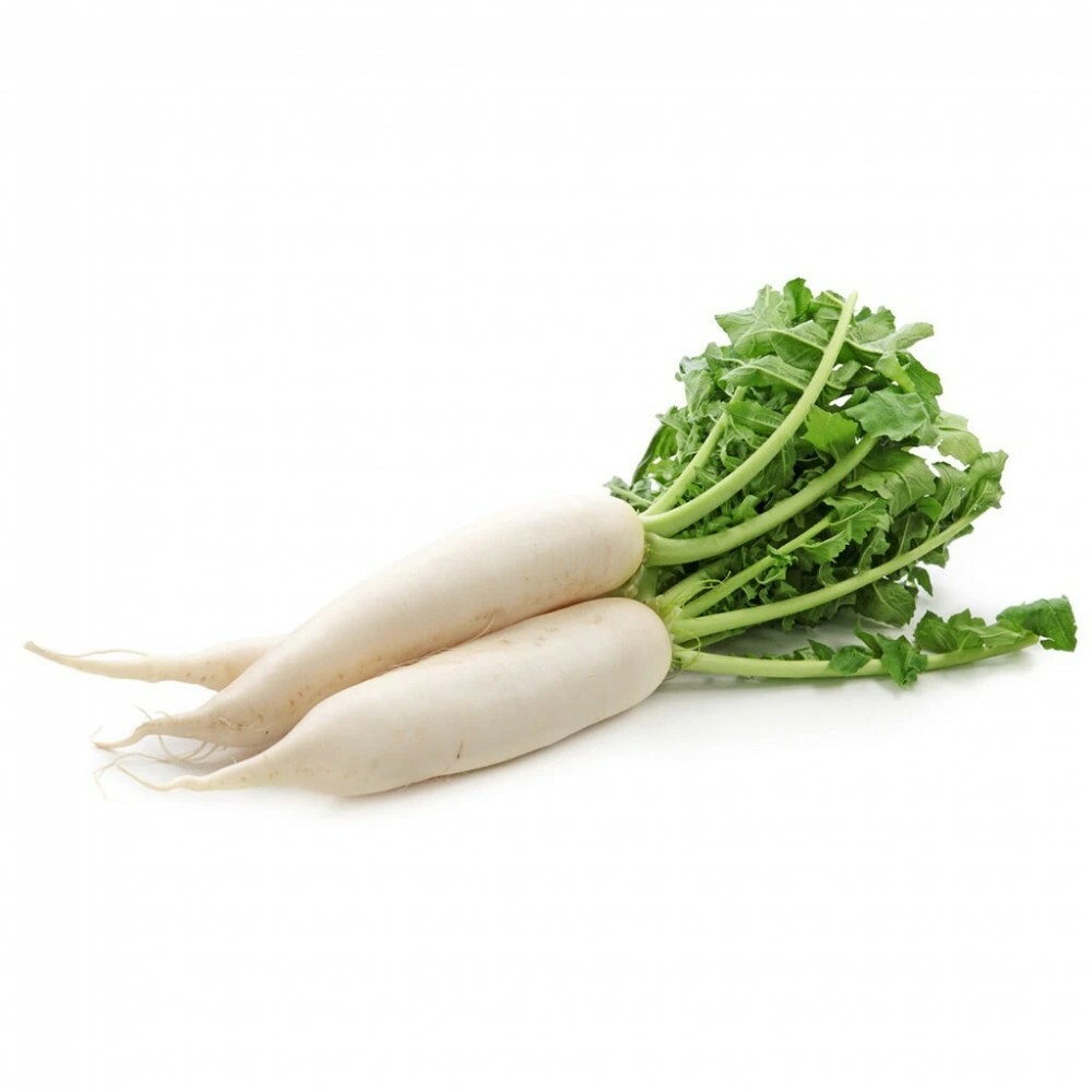 100+ Daikon Radish Seeds Heirloom NON GMO