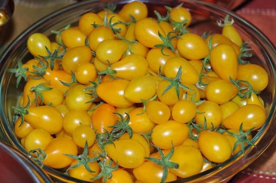 120+ Yellow Pear Tomato Seeds — Heirloom — NON GMO — FRESH