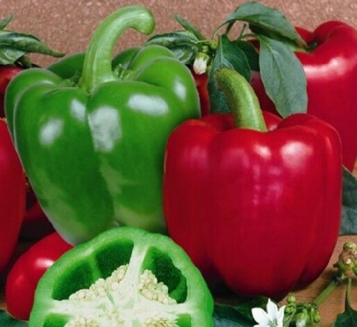 DELICIOUS Essential Survival Kit Perfect Vegetable Garden SEEDS out 5 Varieties