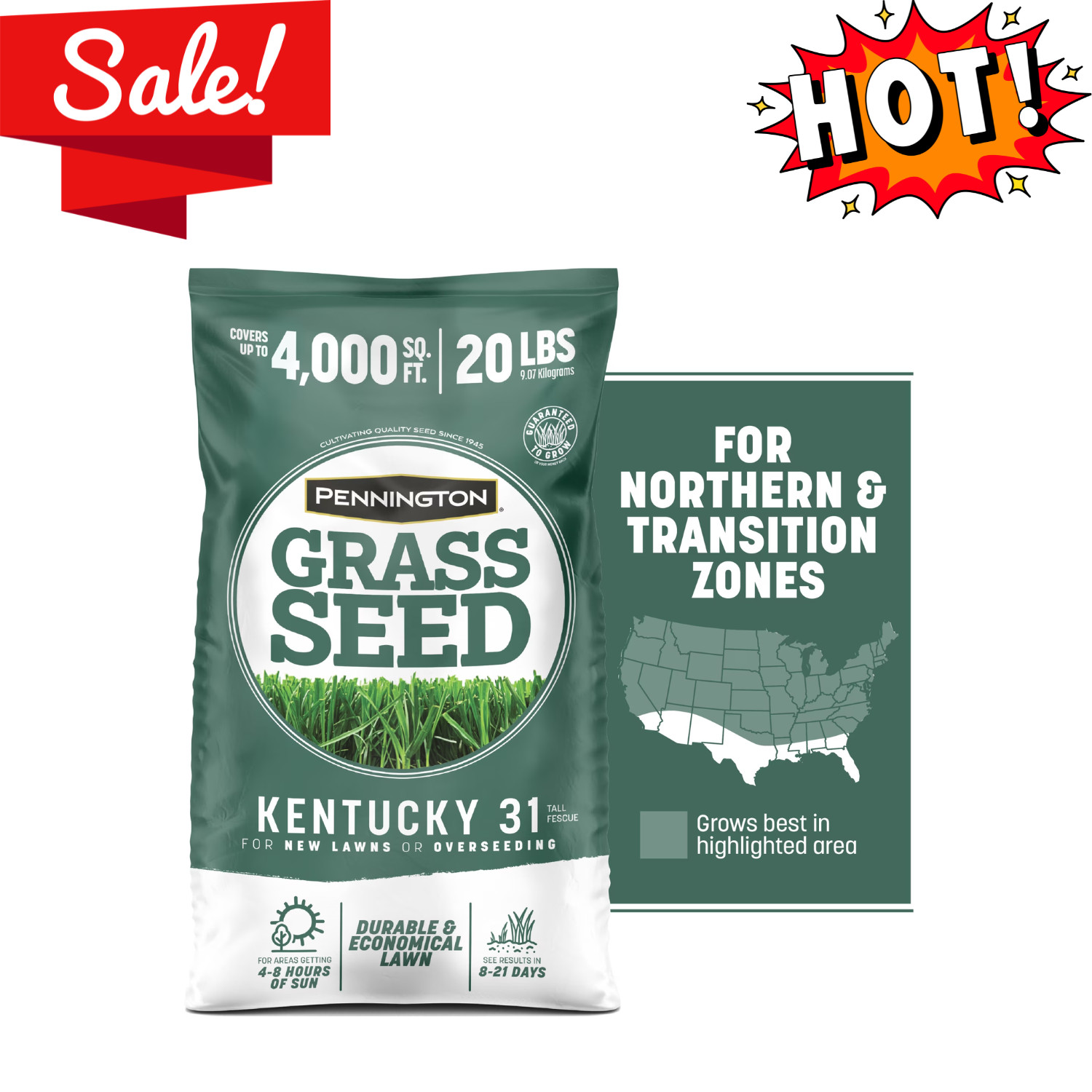 Pennington Kentucky 31 Tall Fescue Grass Seeds 20 lb Sun Partial Shade Lawn