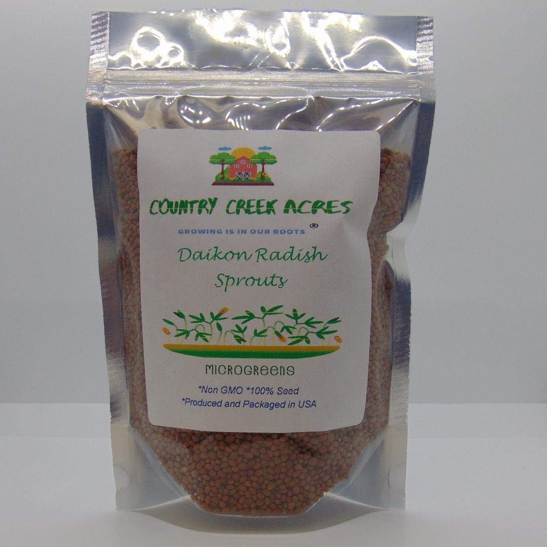 Daikon Radish Microgreen Seeds, Non-GMO, High Germination, 12 OZ for Sprouting