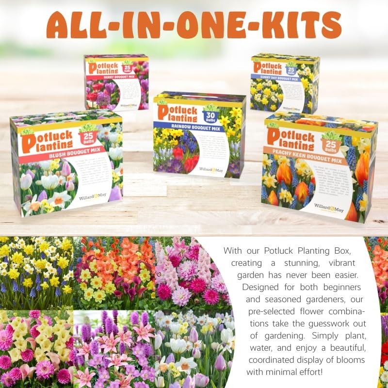 All-in-One Flower Bulb Garden Kit – 24 Mixed Bulbs – Dahlias, Gladiolus, Lilies