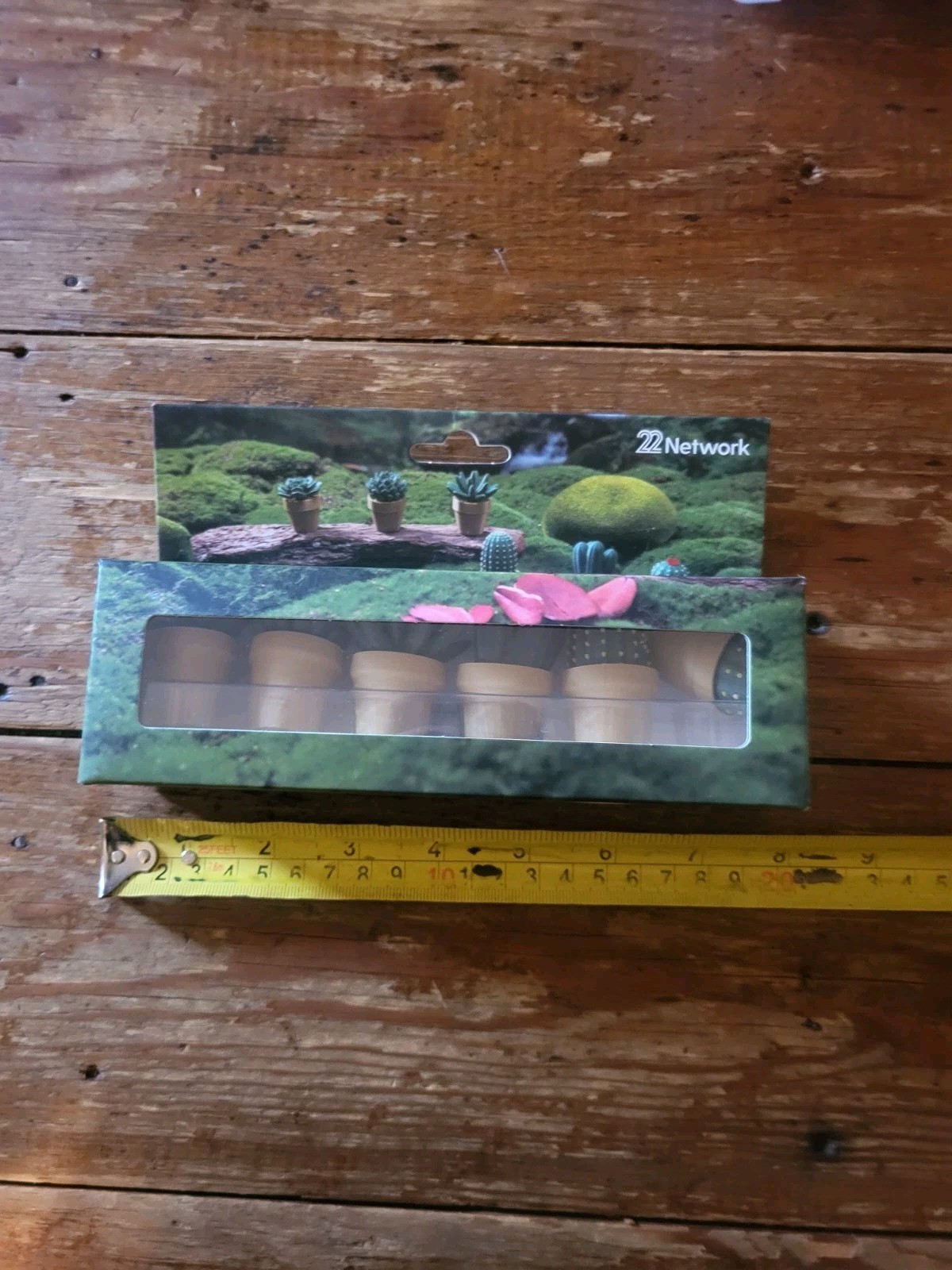 Lot of 6 miniature NEW NIB cactus cacti potted plants floral set garden decor