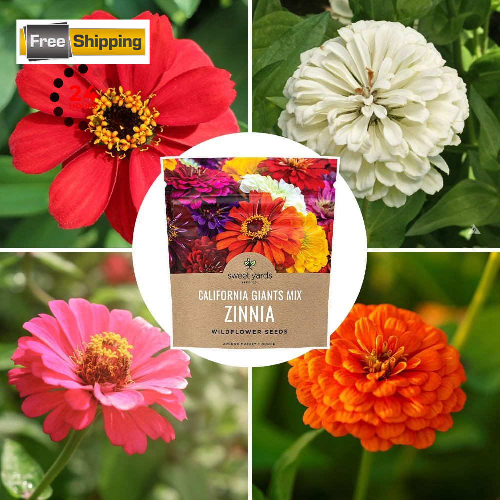 Zinnia Seeds – California Giants Mix – Large 1 1 Ounce Pouch, Multiple Colors