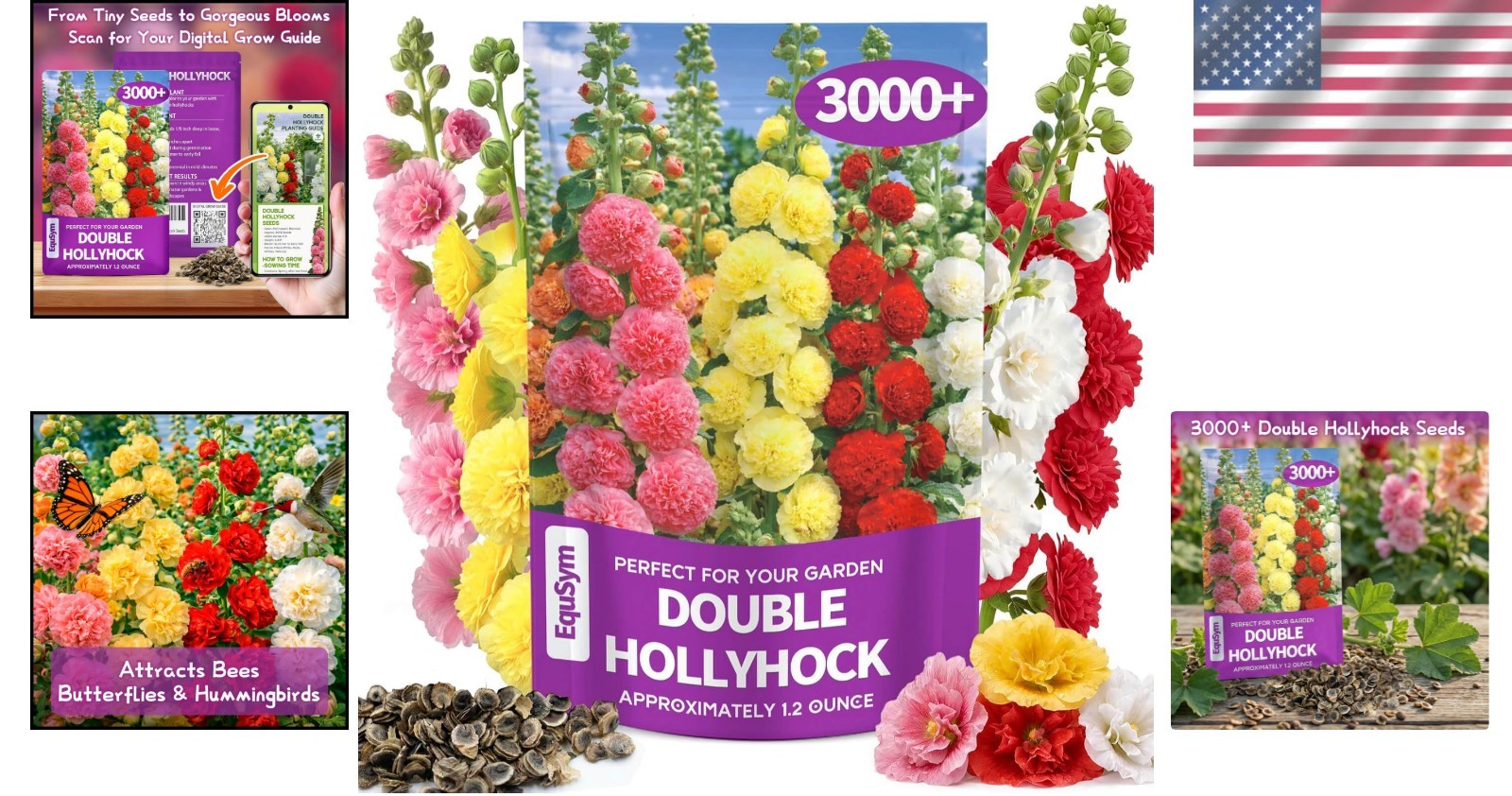 Large 3000+ Bulk Pack of Double Hollyhock Seeds – Spring to Fall Blooms